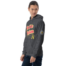 Load image into Gallery viewer, AudioBear Hoodie