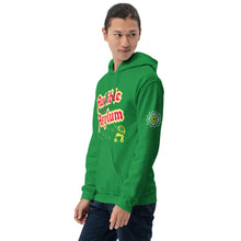 Load image into Gallery viewer, AudioBear Hoodie